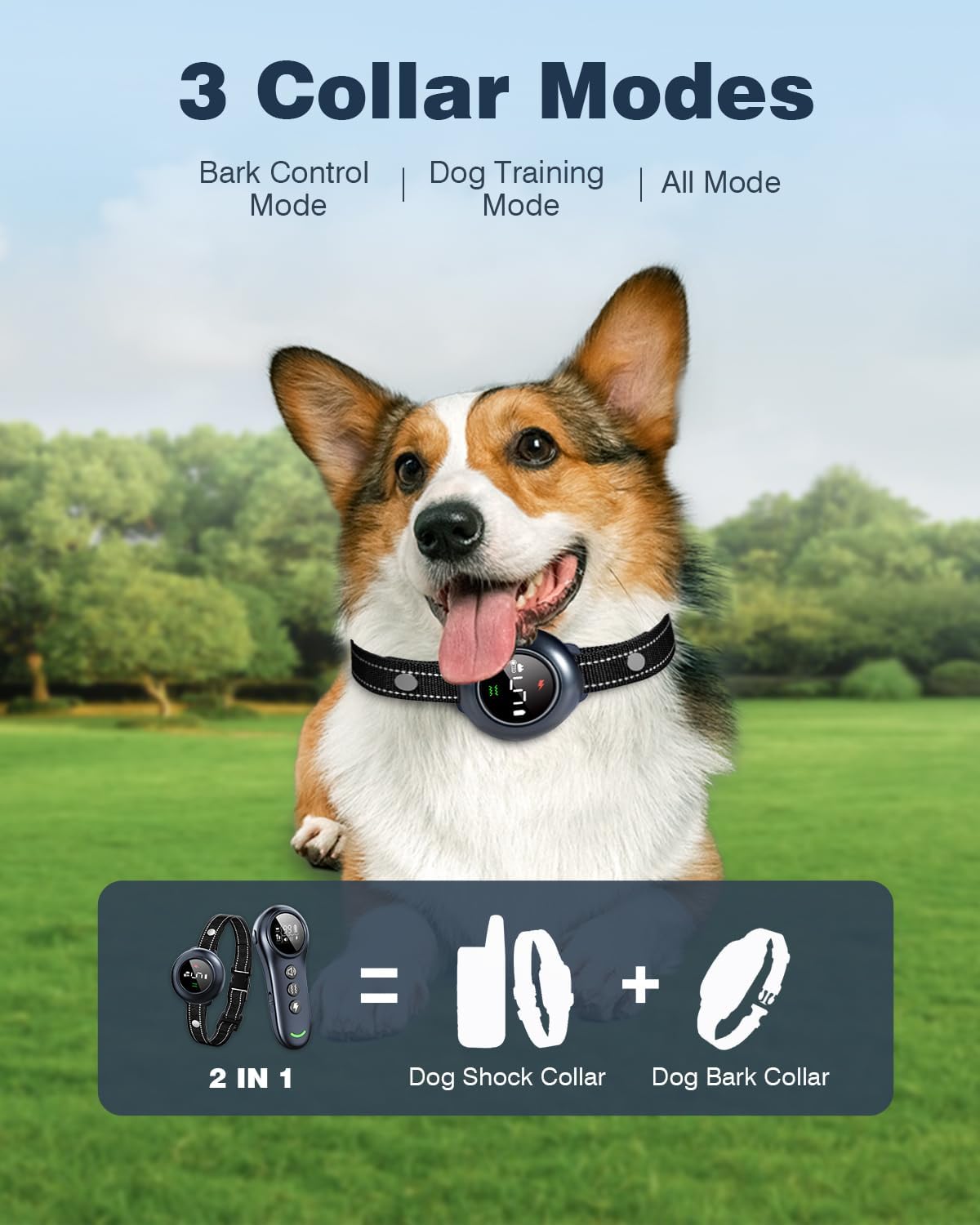 2-in-1 Smart Dog Collar