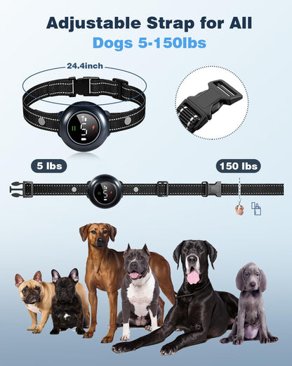 2-in-1 Smart Dog Collar