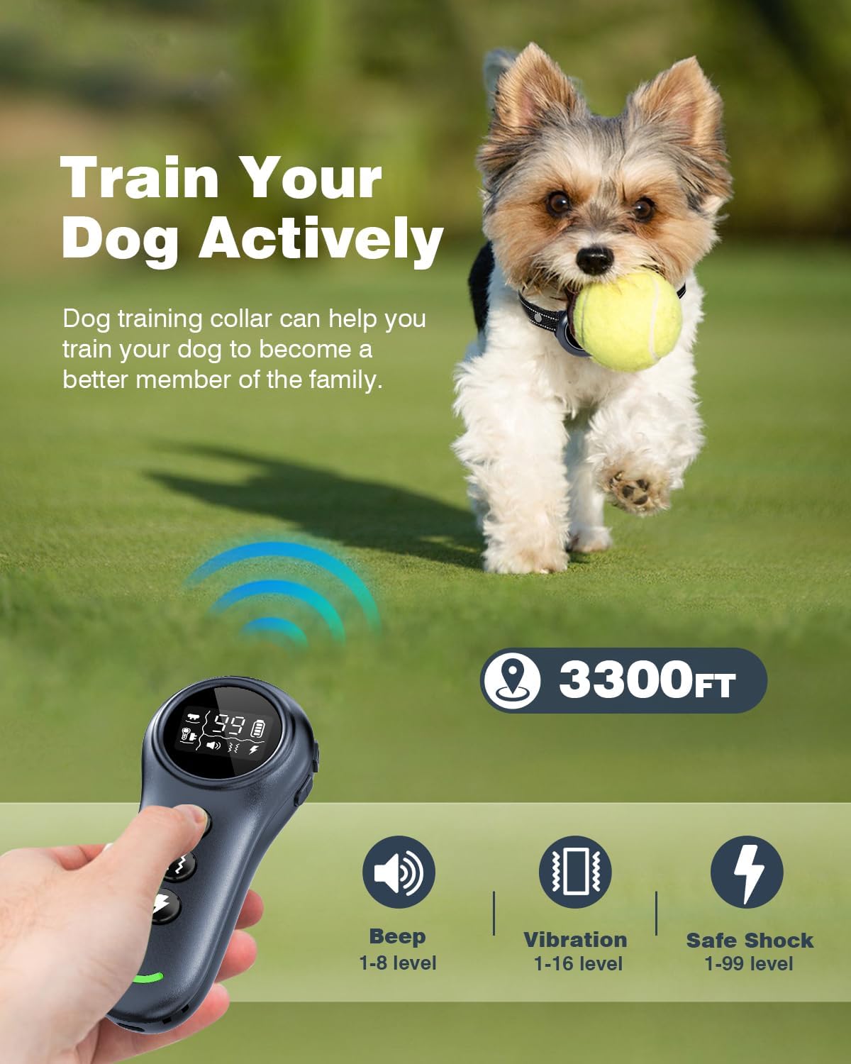 2-in-1 Smart Dog Collar