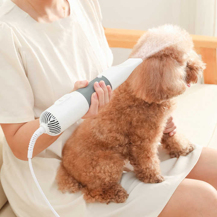 2-in-1 Electric Pet Hair Dryer & Grooming Brush