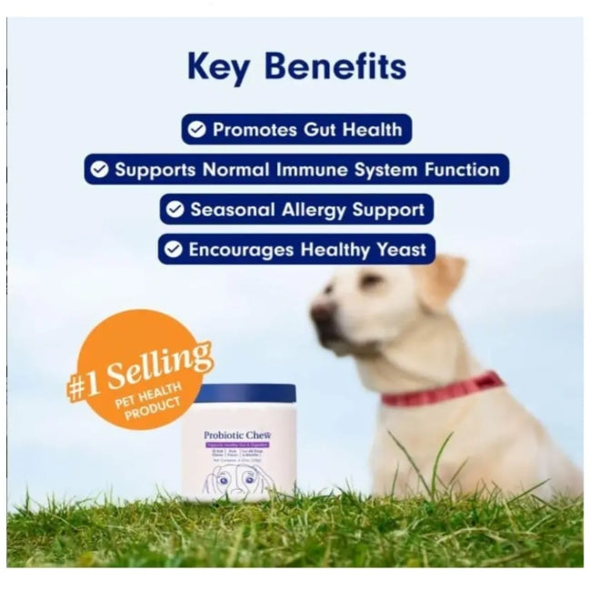 Digestive Enzymes & Probiotic Soft Chews for Dogs & Cats