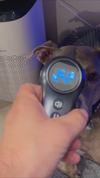 2-in-1 Smart Dog Collar